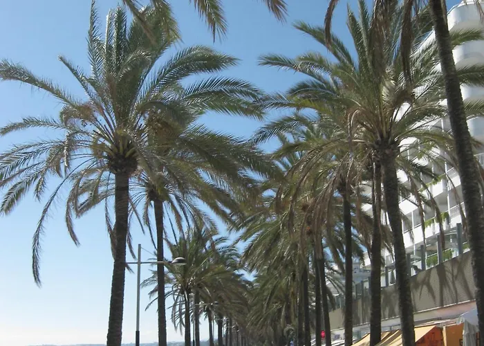 My Dream & Town * Marbella